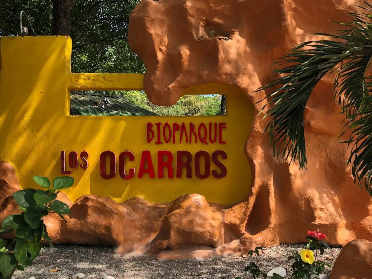 VIAJE AL BIOPARQUE LOS&nbsp;OCARROS