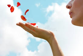 LA VIDA ESTA HECHA DE APEGOS Y&nbsp;DESAPEGOS…