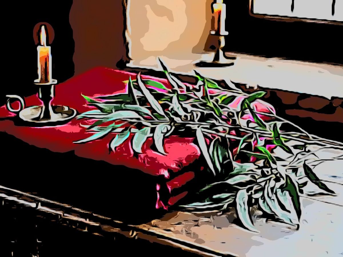 Carmen, la Heroína del&nbsp;Silencio.