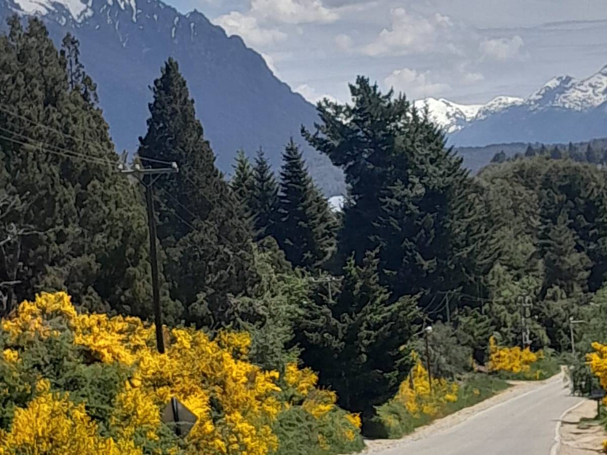 La alegría, esa otra realidad&nbsp;paralela