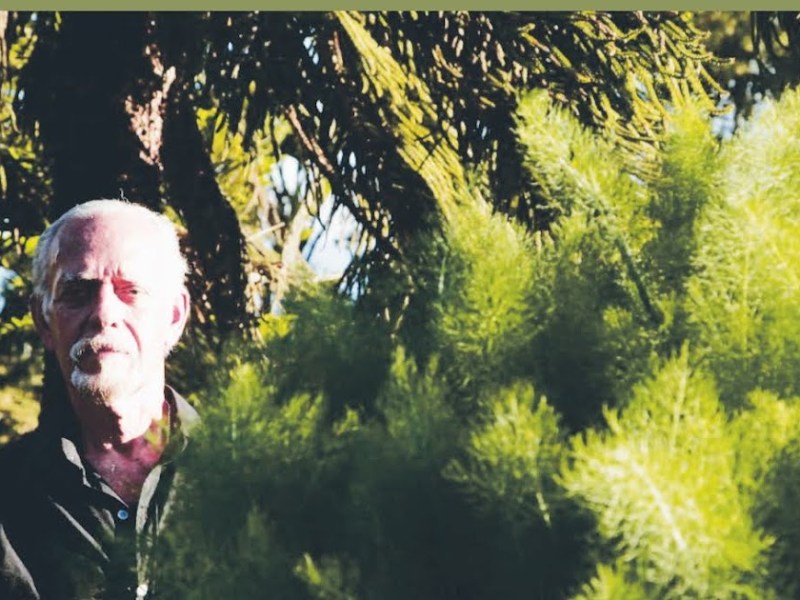 Raúl Henao, exponente de la poesía&nbsp;surrealista